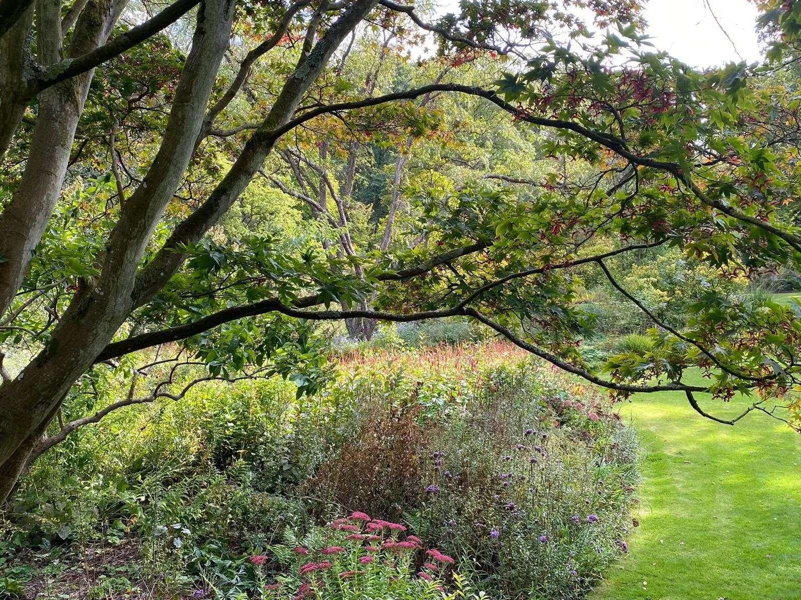 Jardin paysager arboré et fleuri