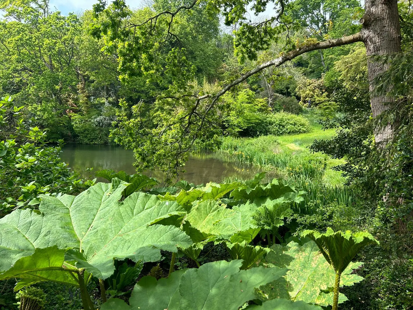Plan d’eau entouré d’une végétation luxuriante