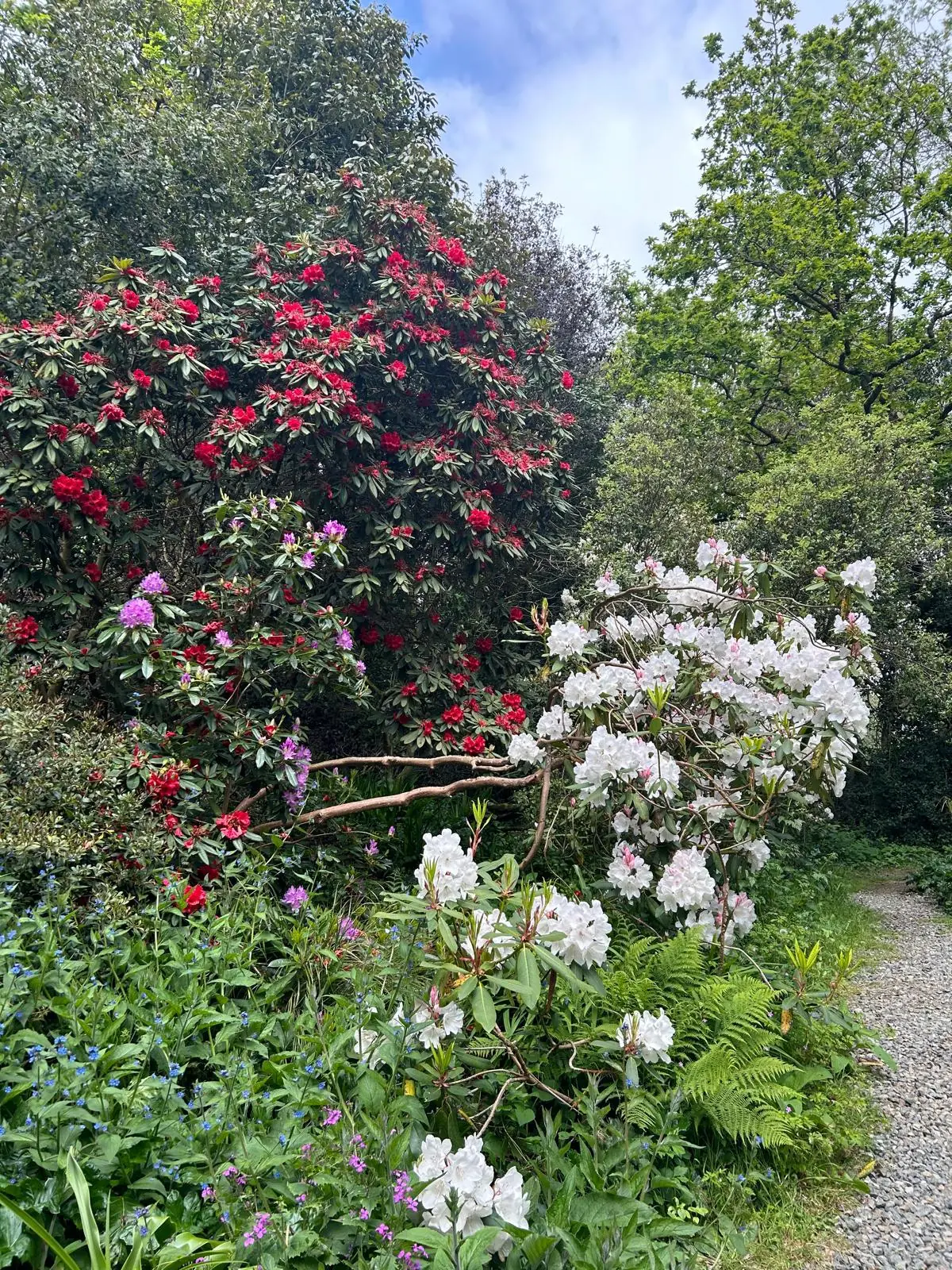 Plantations dans un massif paysager